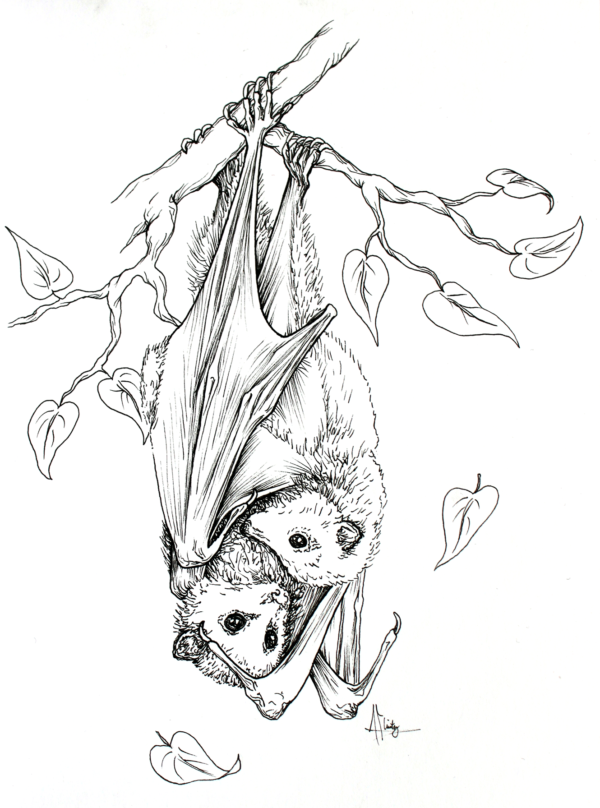 Micron pen