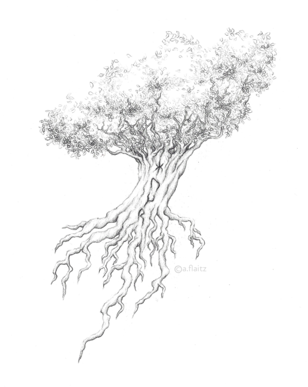 Graphite