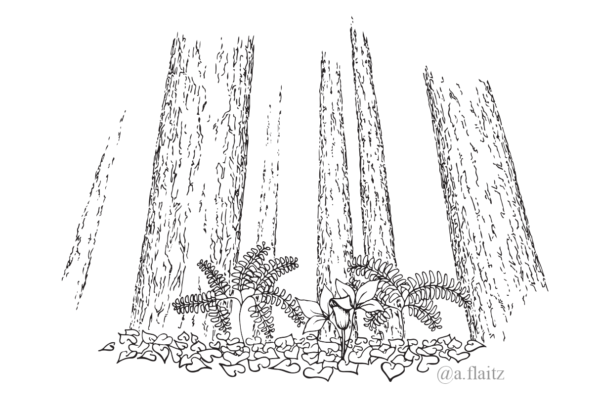 Micron pen, vectored illustration