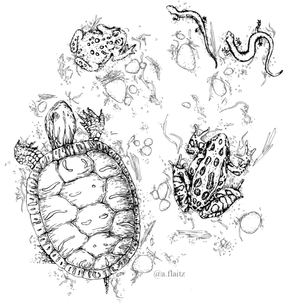Micron pen, vectored