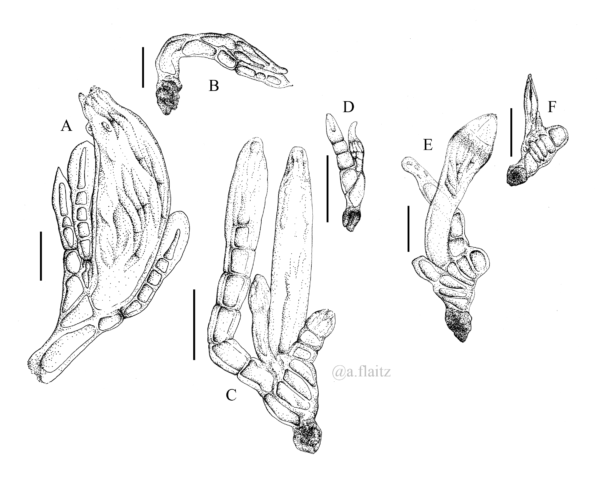 Micron pen