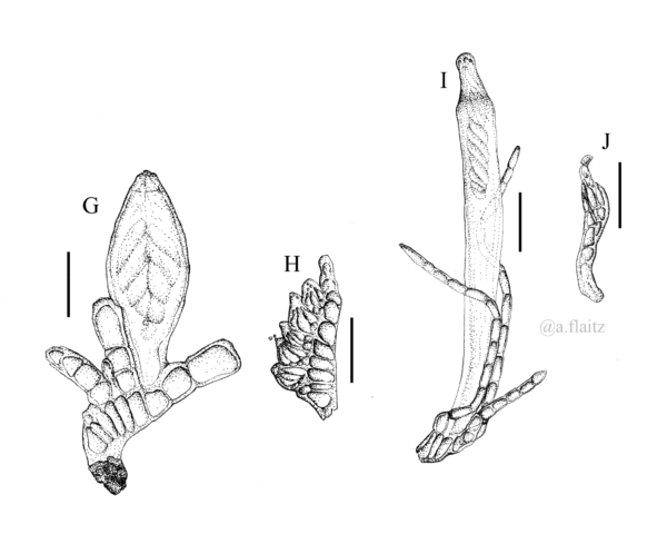 Micron pen