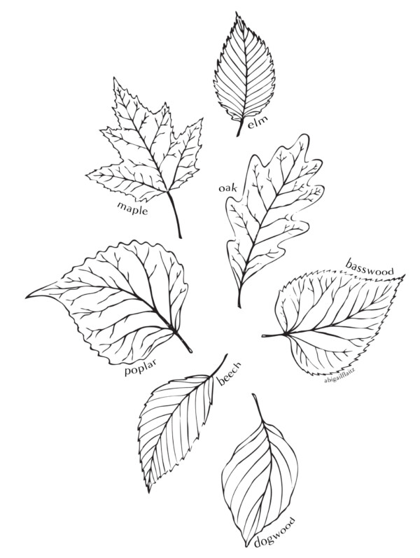 Micron pen, vectored