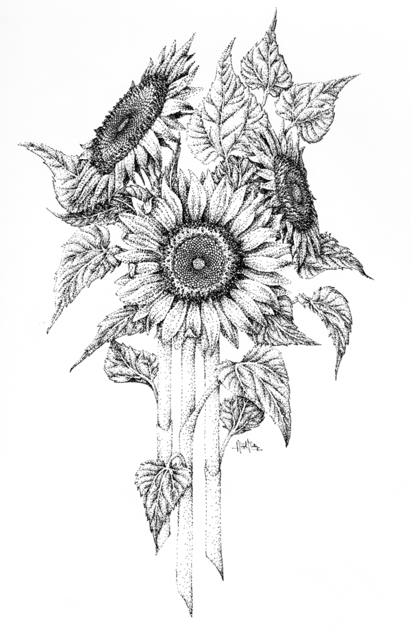 Micron pen