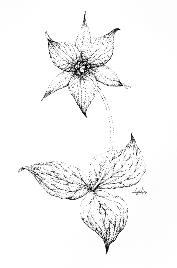 Micron pen